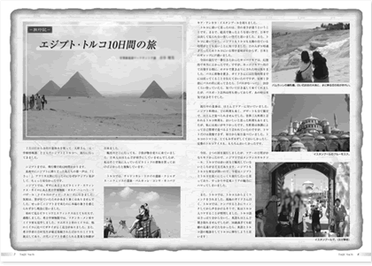 1,2,4色比較―1色