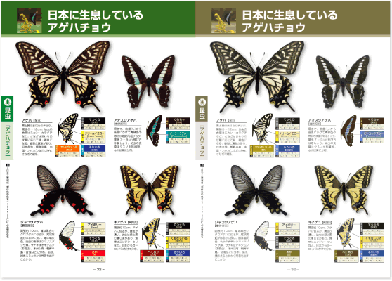 CUDシュミレーション―イメージ